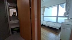 Eight Riversuites (D12), Condominium #635978891